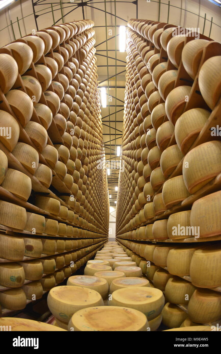 Cheese storage with parmesan cheese (cheese factory), Parma, Emilia  Romagna, Italy, Stock Photo, Picture And Rights Managed Image. Pic.  IBR-708619