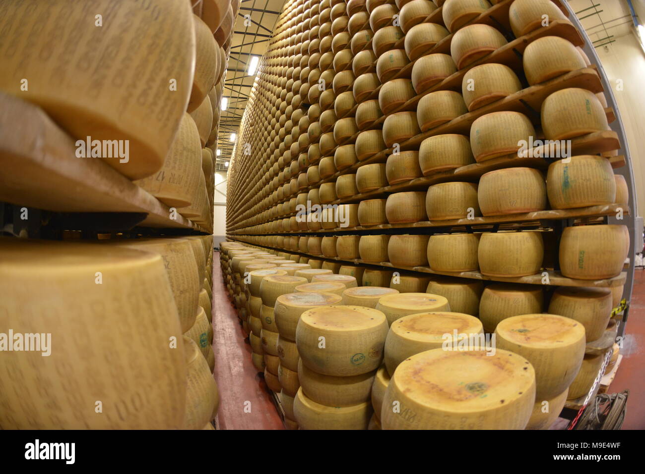 Parmesan cheese storage in Reggio Emilia, Italy Stock Photo - Alamy