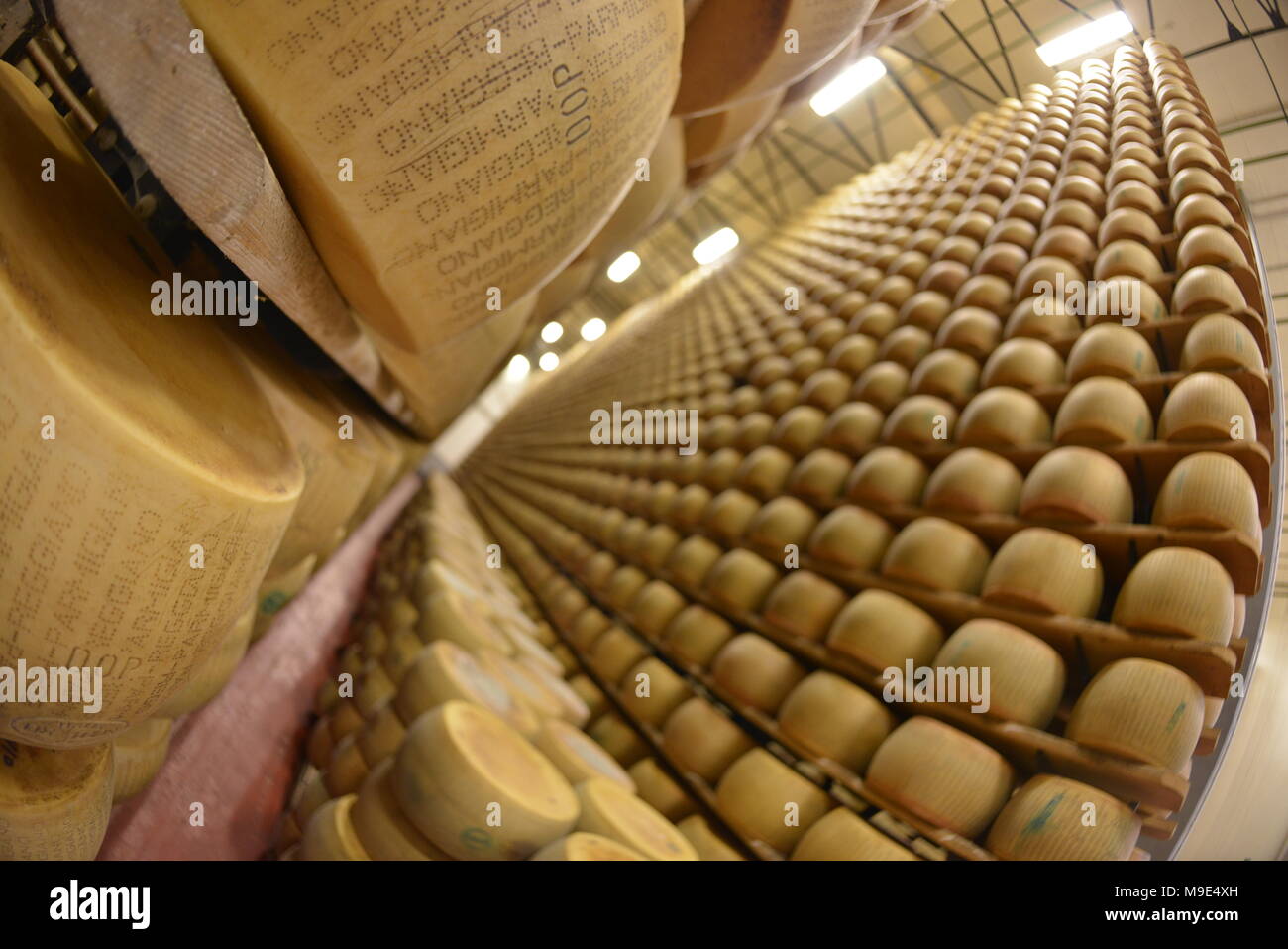 Parmesan cheese storage in Reggio Emilia, Italy Stock Photo Alamy