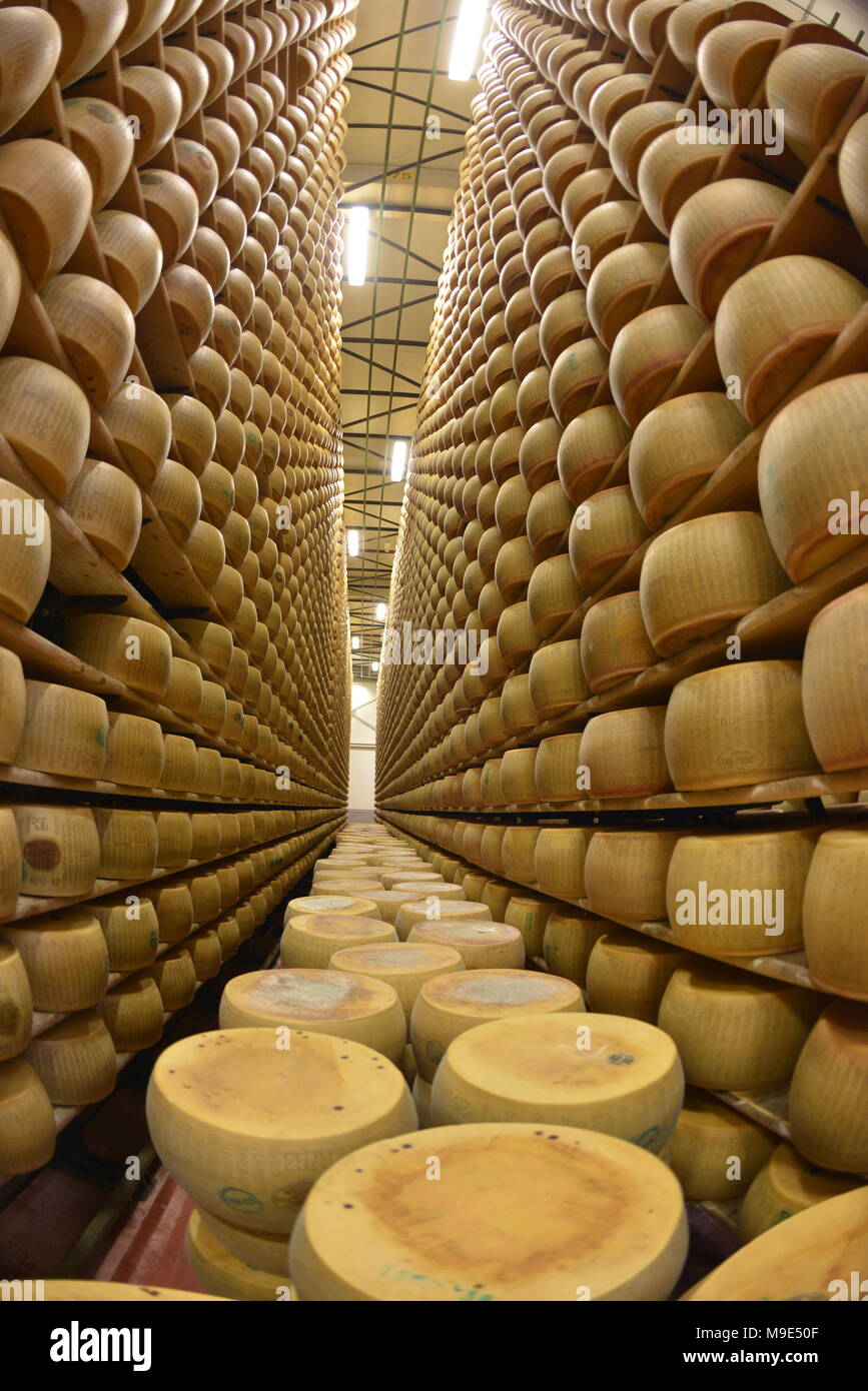 https://c8.alamy.com/comp/M9E50F/parmesan-cheese-storage-in-reggio-emilia-italy-M9E50F.jpg