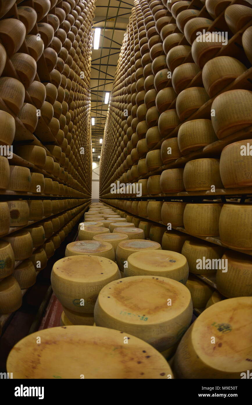 Cheese storage with parmesan cheese (cheese factory), Parma, Emilia  Romagna, Italy, Stock Photo, Picture And Rights Managed Image. Pic.  IBR-708619