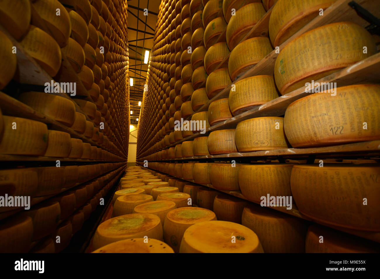 Parmesan cheese storage in Reggio Emilia, Italy Stock Photo Alamy