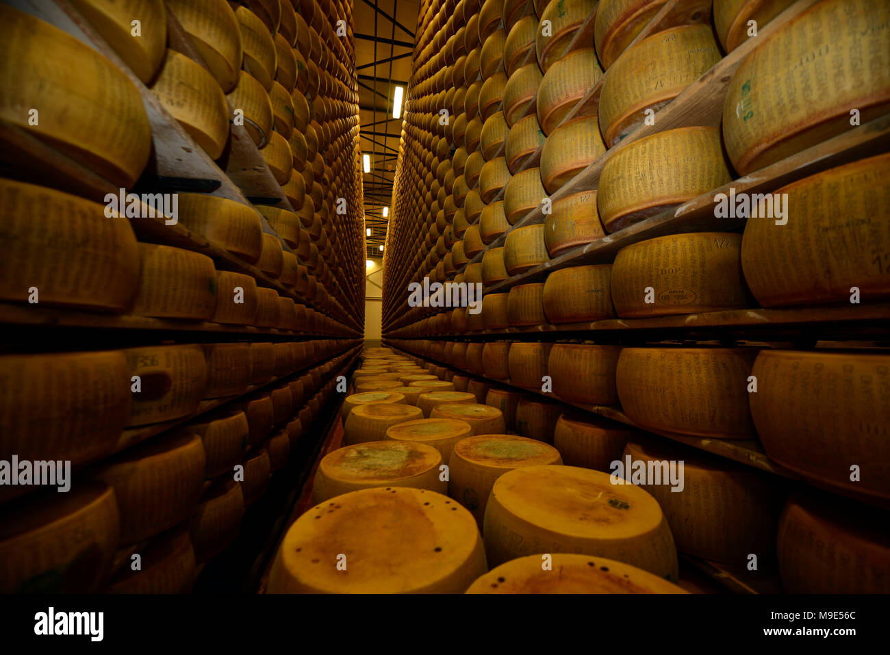 Parmesan cheese storage in Reggio Emilia, Italy Stock Photo Alamy