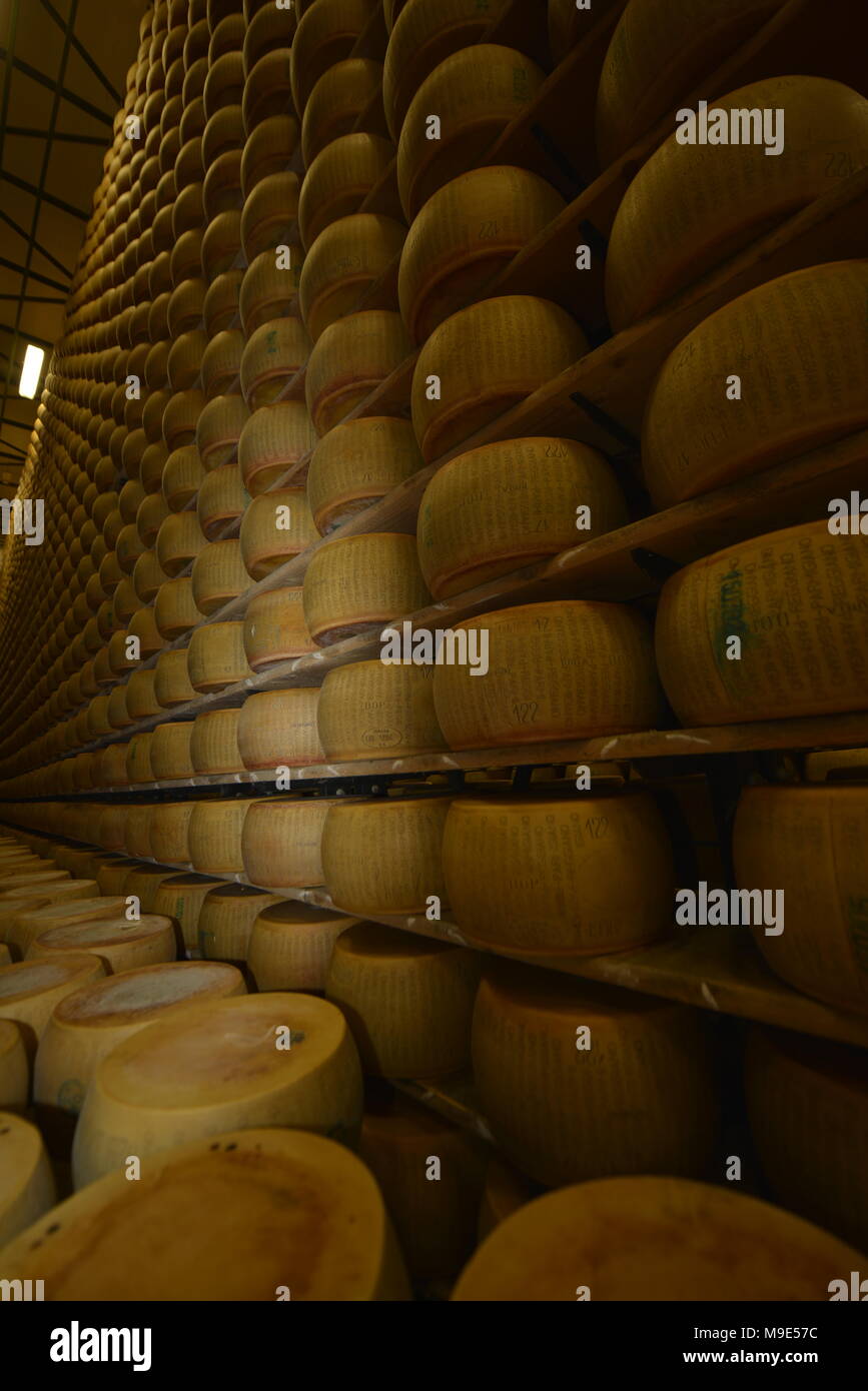 Parmesan cheese storage in Reggio Emilia, Italy Stock Photo Alamy