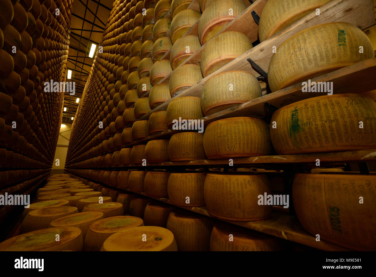 https://c8.alamy.com/comp/M9E581/parmesan-cheese-storage-in-reggio-emilia-italy-M9E581.jpg