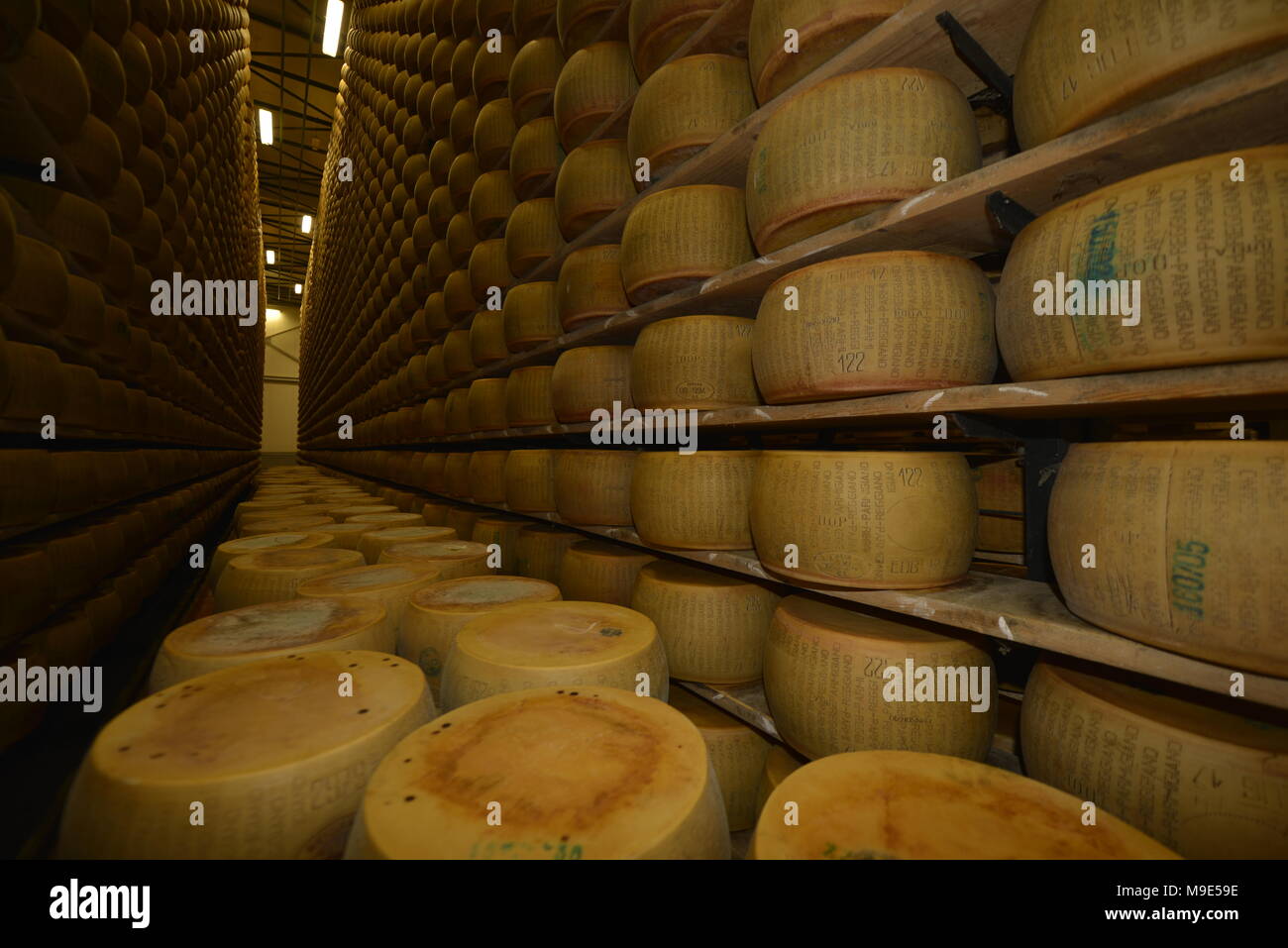 Parmesan cheese storage in Reggio Emilia, Italy Stock Photo - Alamy