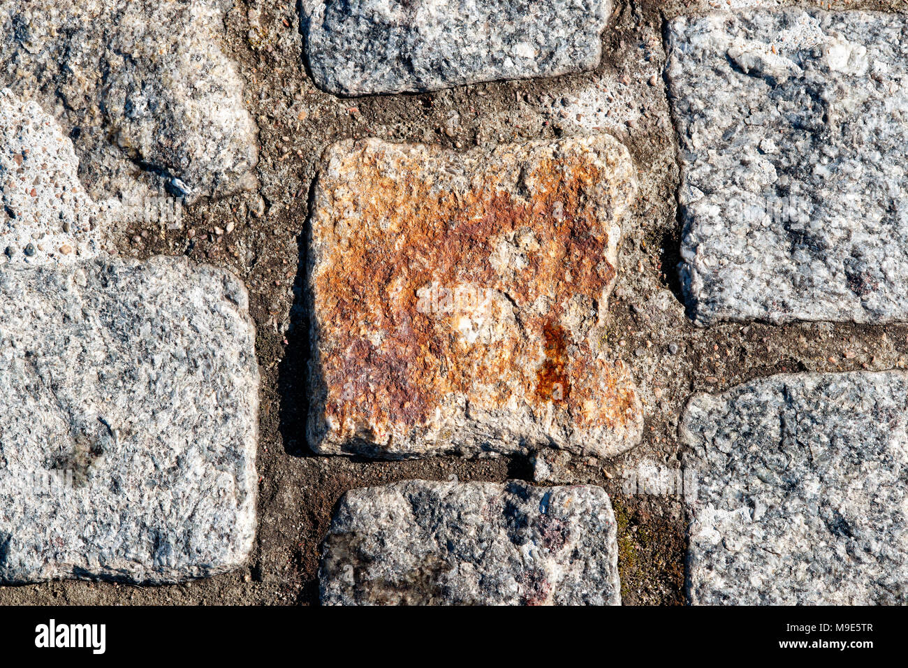Texture of a hard rock stone paving blocks of grey and blue colors. A brown block in the middle. Grunge rough surface Stock Photo