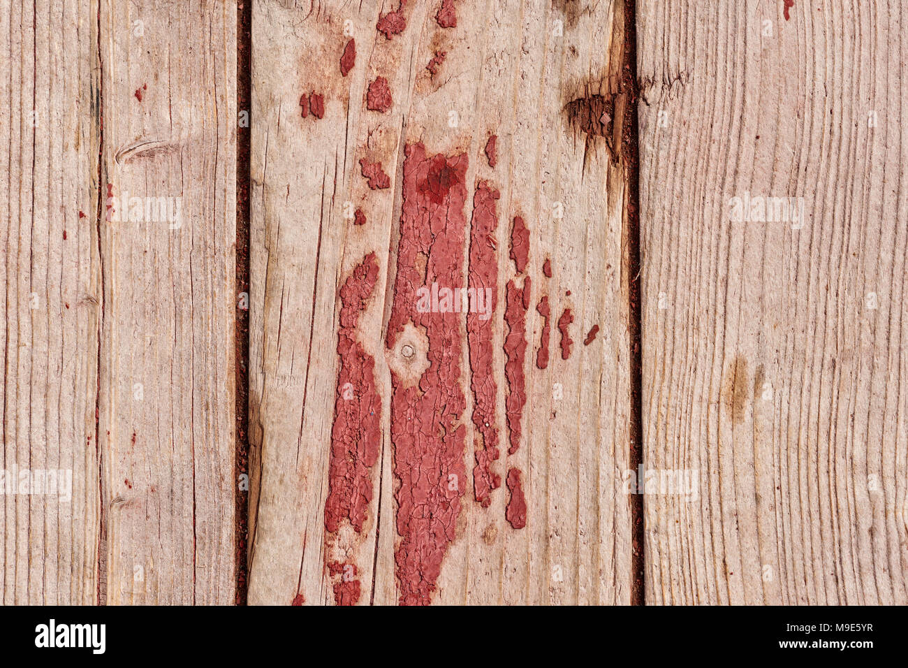 Grunge, weathered vertical wooden planks with a traces of old red or purple paint, nail heads visible Stock Photo