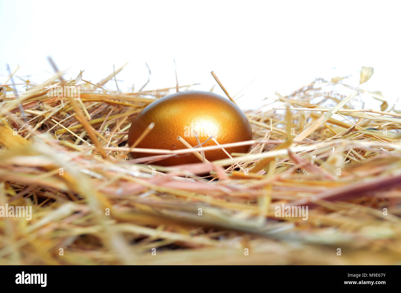 Golden egg on a bed of straw. Stock Photo