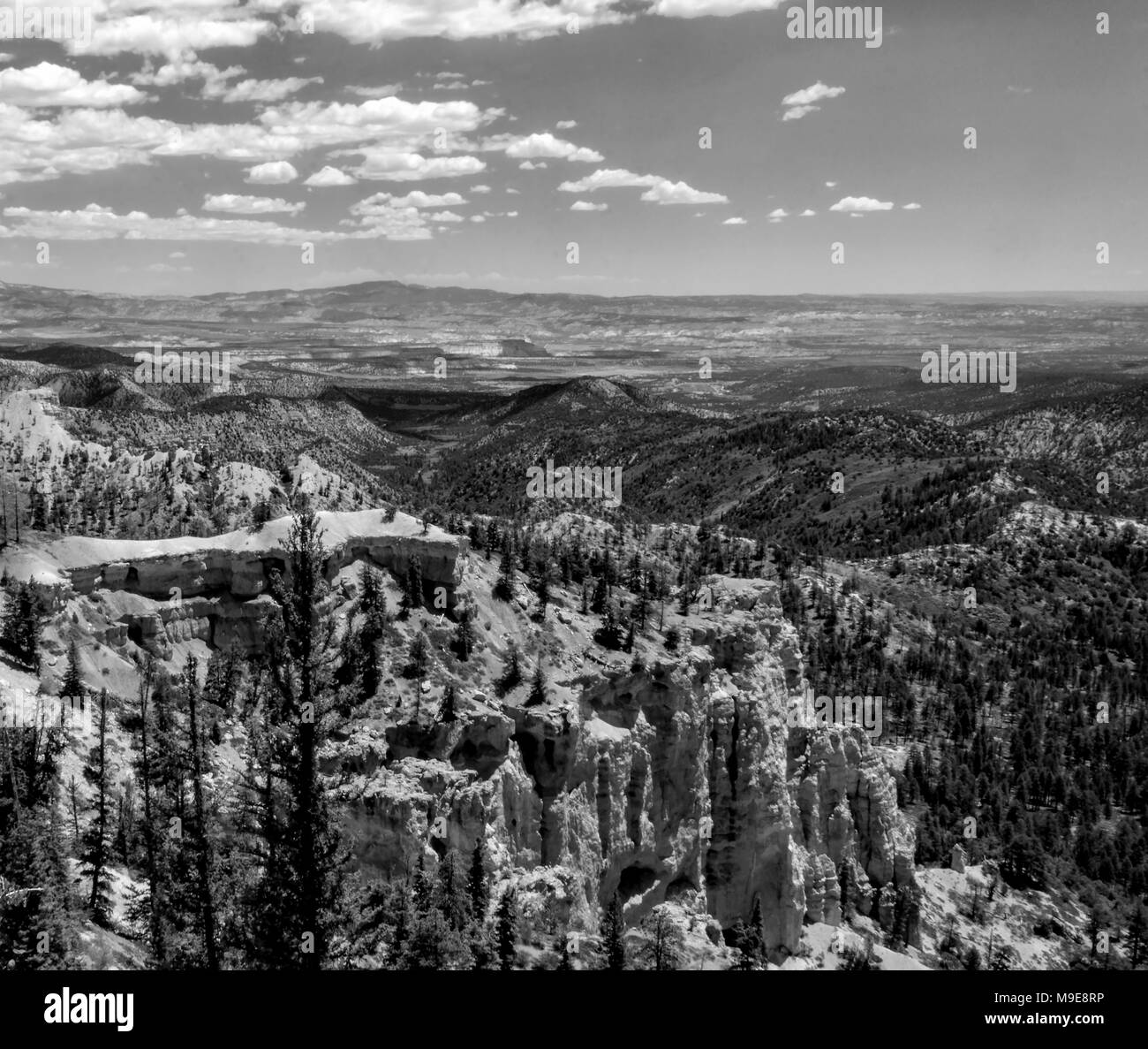 Scenic overlook of Bryce Canyon with steep cliffs and valley below under a sky with white fluffy clouds. Stock Photo