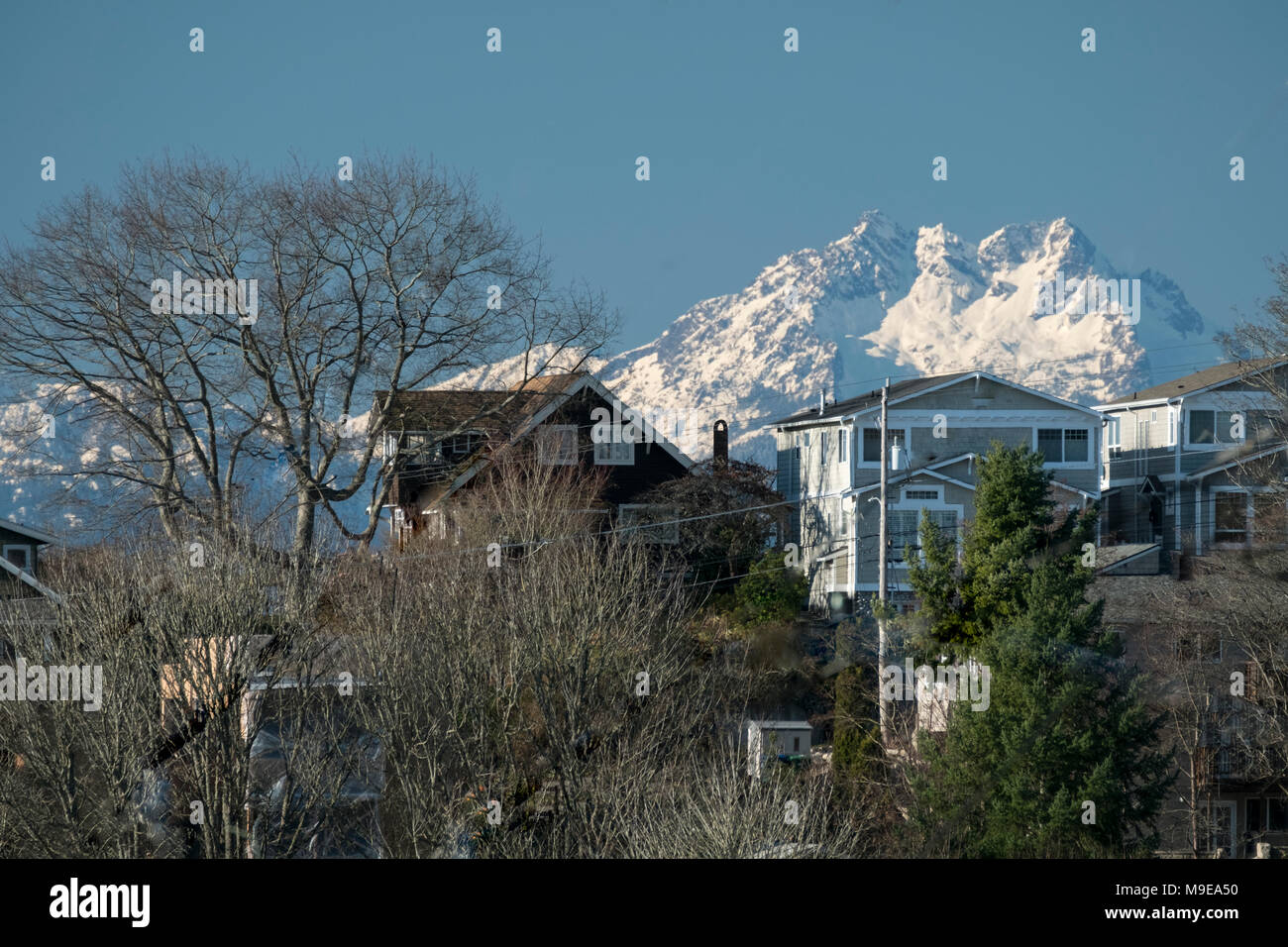 Houses up against the Olympic Mountains, West Seattle, Washington, USA Stock Photo
