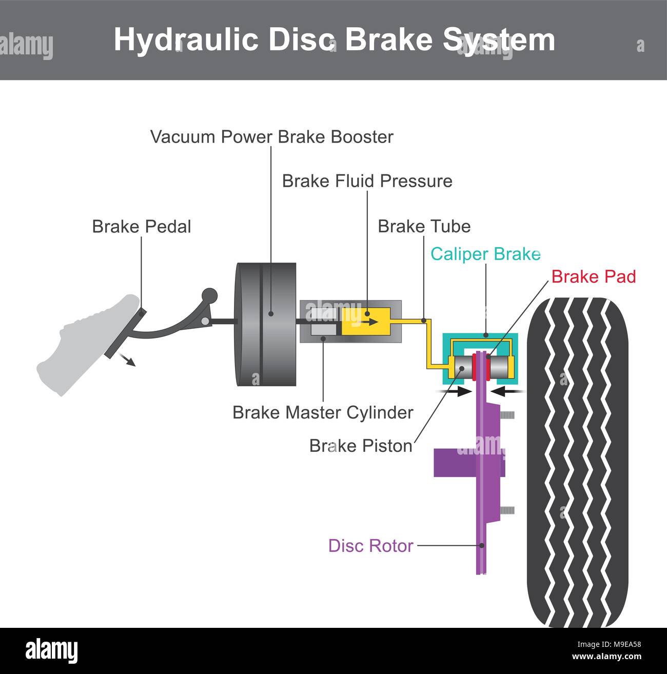 hydraulic brake system, when the brake pedal is pressed, a pushrod exerts  force on the piston in the master cylinder, causing fluid from the brake  flu Stock Vector Image & Art -