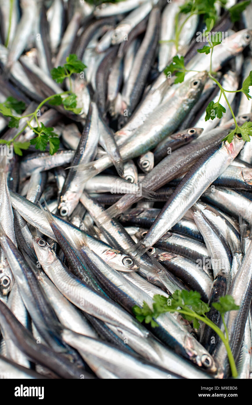 Heap of anchovies or sardines with parsley in close up view Stock Photo