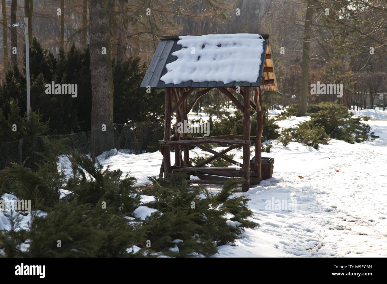 Empty arbor among the winter forest. Pavilion for a picnic in the winter forest. Stock Photo