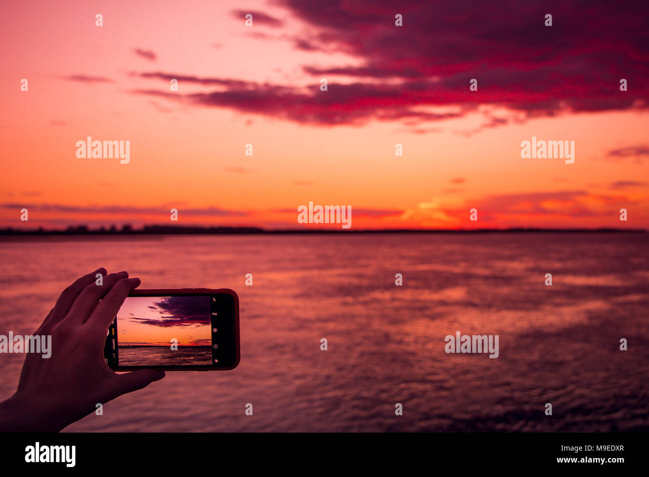 shooting the pink sunset with beautiful clouds over a river on a smartphone Stock Photo