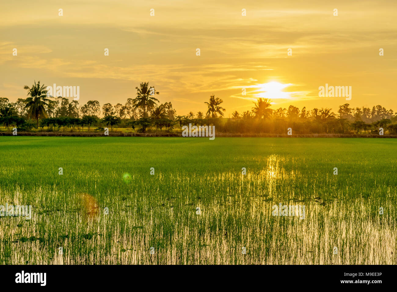 Sun shines through the cloud hi-res stock photography and images - Alamy