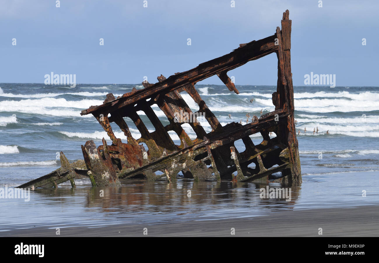 Wreck of the Peter Iredale, Fort Stevens State Park, Oregon, USA Stock Photo