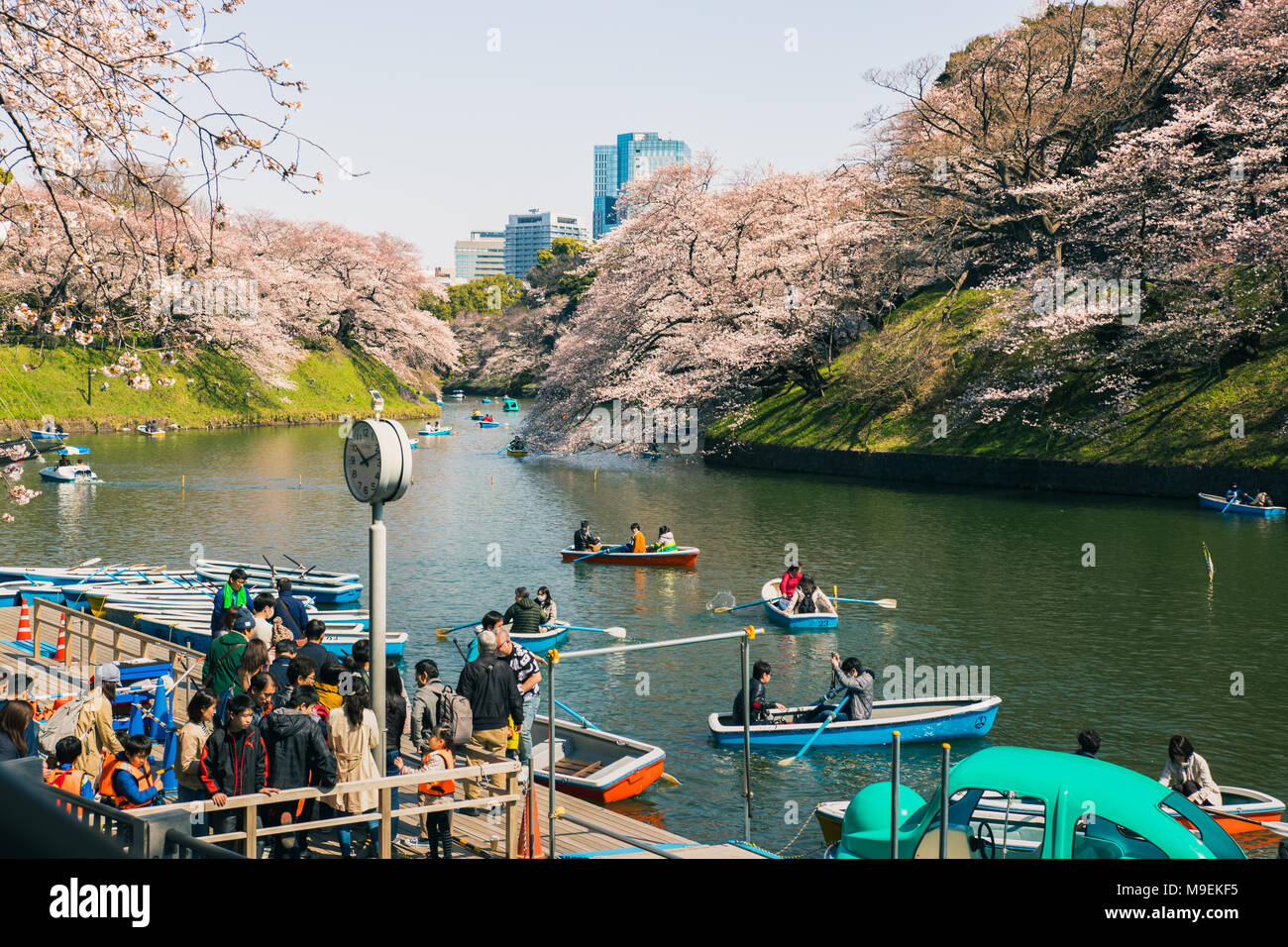 People gather to get on boats to row on the moat around the Imperial Palace in Tokyo, Japan to view the cherry blossoms as they near full bloom Stock Photo