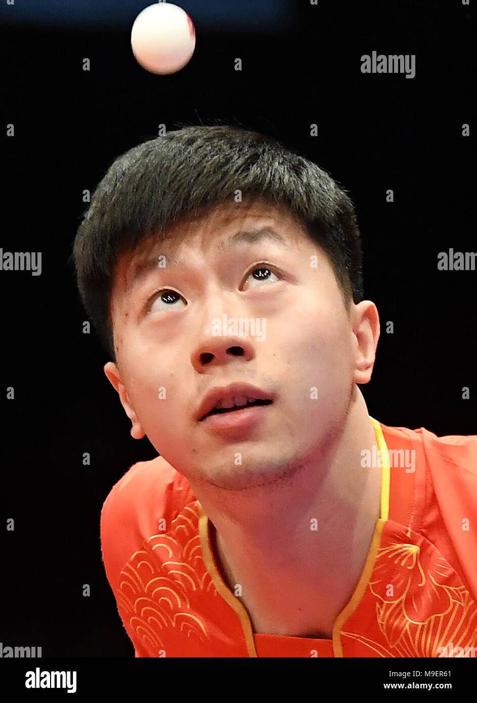 Wong hong ting hires stock photography and images Alamy