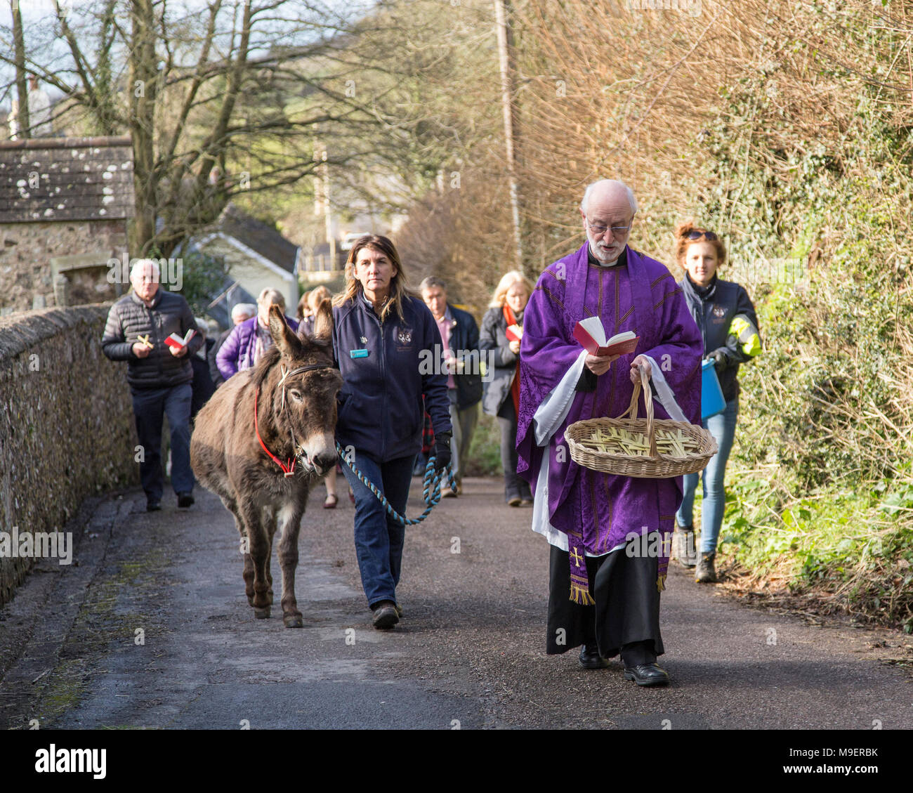 Sidmouth, UK,  25th Mar 18. Ponk the Donk took a starring roll at the Palm Sunday service at Salcombe Regis church, near Sidmouth. The annual event sees parishioners process up the hill, and this year the Rev David Lewis  headed the walk,  together with Ponk, a 14 year old donkey from the nearby Sidmouth Donkey Sanctuary. Photo Central / Alamy Live News. Credit: Photo Central/Alamy Live News Stock Photo
