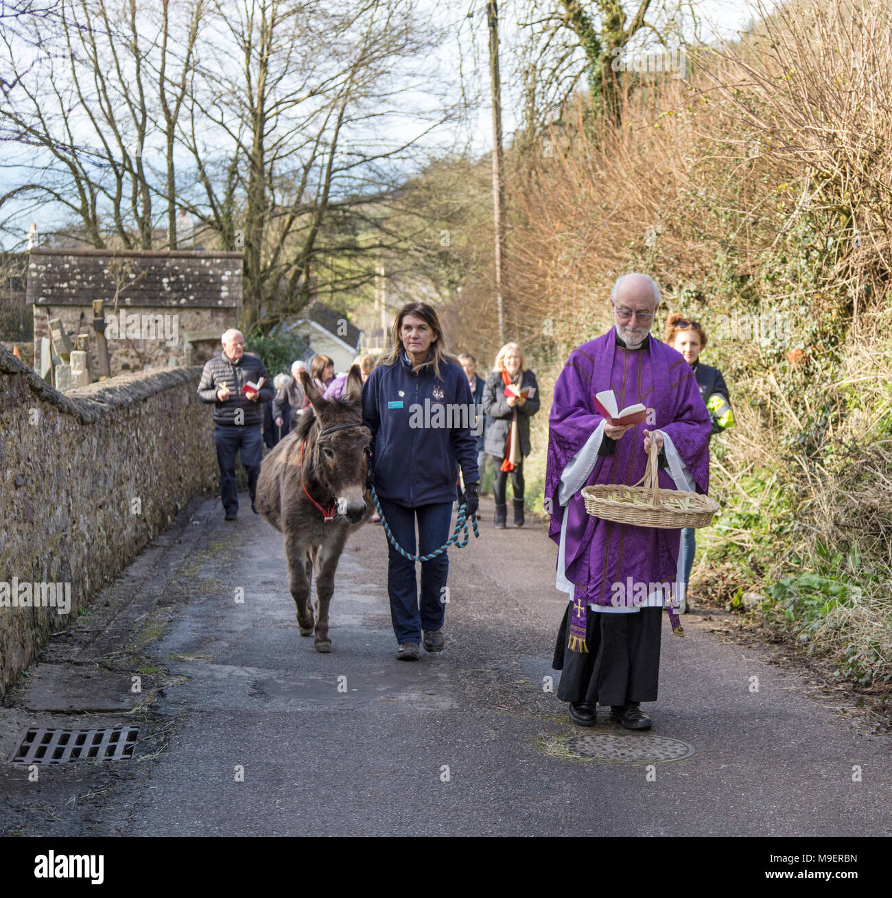 Sidmouth, UK,  25th Mar 18. Ponk the Donk took a starring roll at the Palm Sunday service at Salcombe Regis church, near Sidmouth. The annual event sees parishioners process up the hill, and this year the Rev David Lewis  headed the walk,  together with Ponk, a 14 year old donkey from the nearby Sidmouth Donkey Sanctuary. Photo Central / Alamy Live News. Credit: Photo Central/Alamy Live News Stock Photo