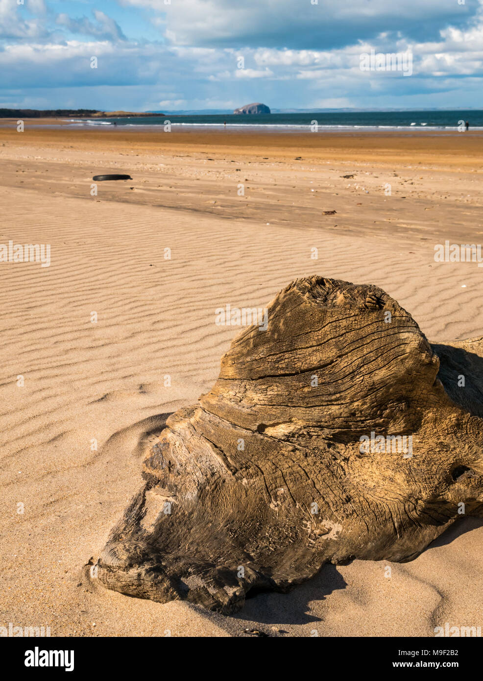 John Muir Country Park, Belhaven Bay, Dunbar, East Lothian, Scotland