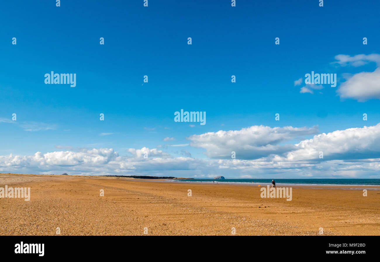 John Muir Country Park, Belhaven Bay, Dunbar, East Lothian, Scotland, United Kingdom, 25th March 2018. Spring sunshine on wide sandy beach with blue sky and puffy white clouds. People walking dogs on the  huge expanse of beach at low tide Stock Photo