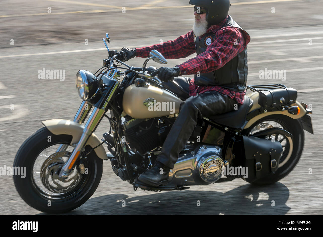 Harley rutland jacket cheap