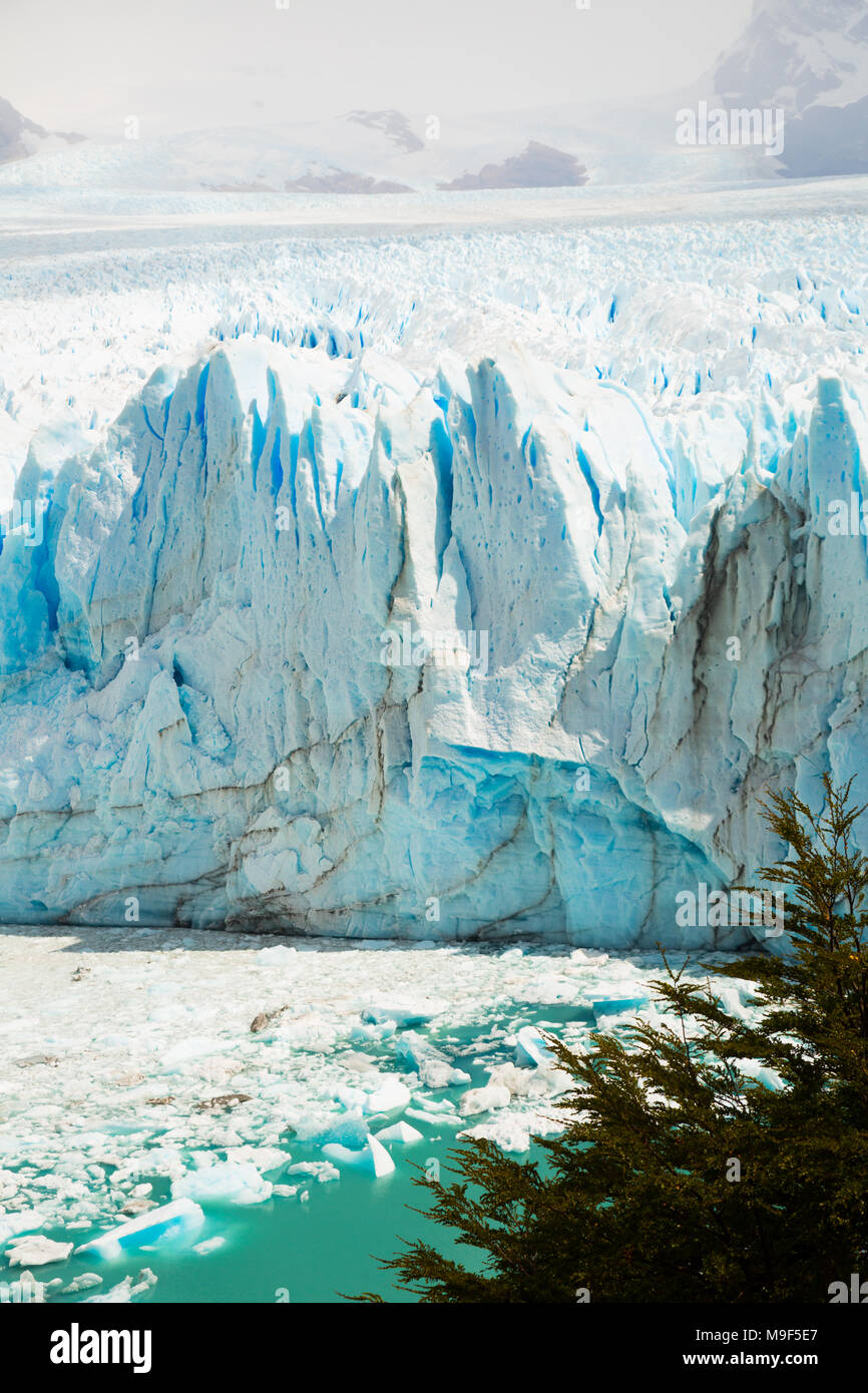 Glacier Perito Moreno Glaciar Perito Moreno Southeast Of Argentina Province Santa Cruz Stock Photo Alamy