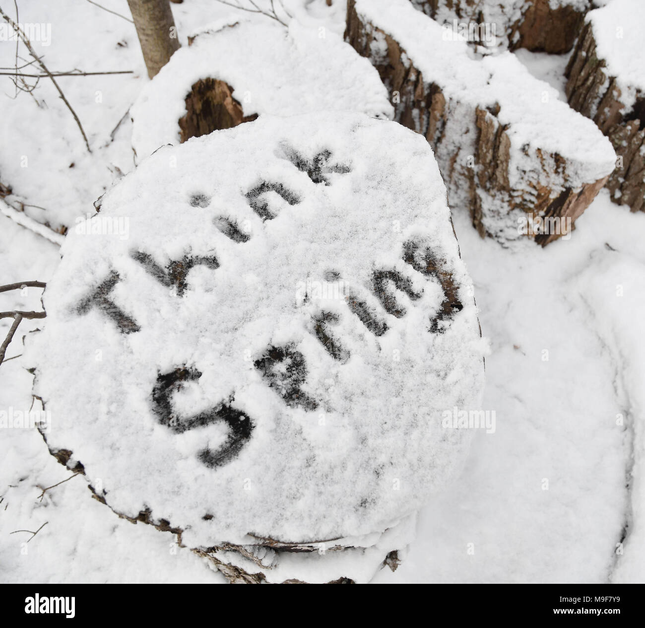 The message 'think spring' written in snow on a cut log after an early season snowfall. Stock Photo