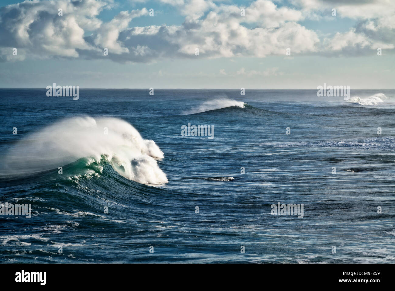 Large cresting waves with spindrift tails along the North Shore on