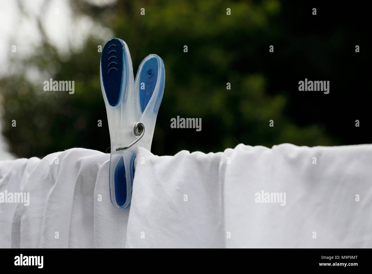 Clothes peg on washing line Stock Photo Alamy