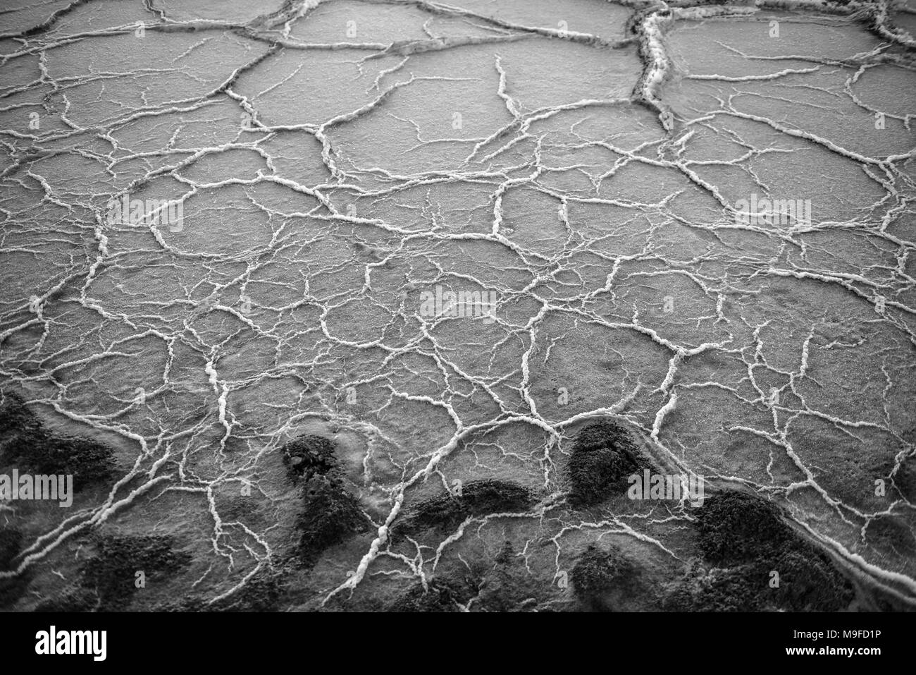 Detail of a salt pan on Nambia's Skeleton Coast Stock Photo