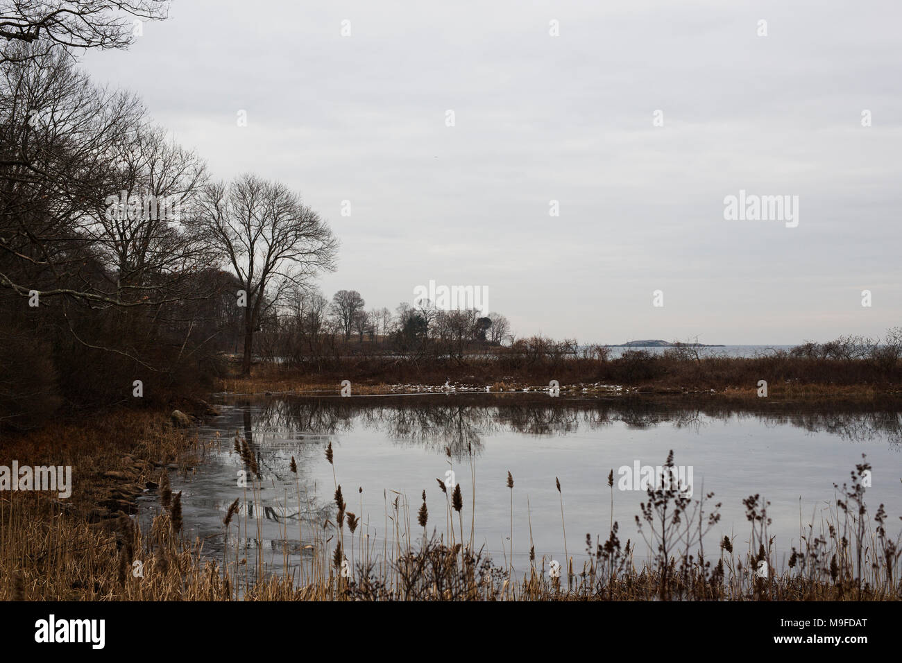 Salt marsh in Manchester-by-the-Sea, Massachusetts, on a winter day. Stock Photo
