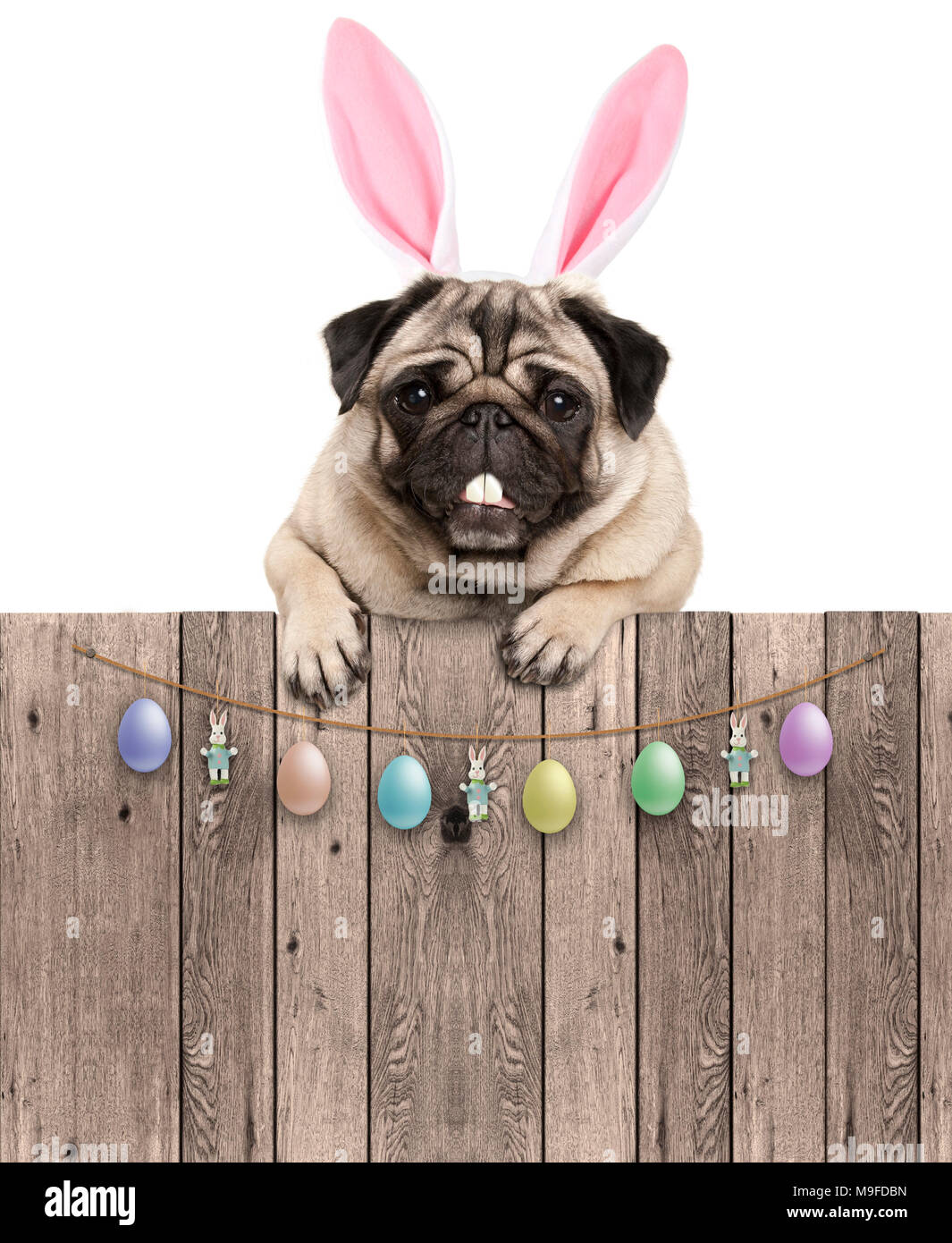 Easter Pug Wearing Bunny Ears Seamless Pug Cute Yoga Mat by Frost Store