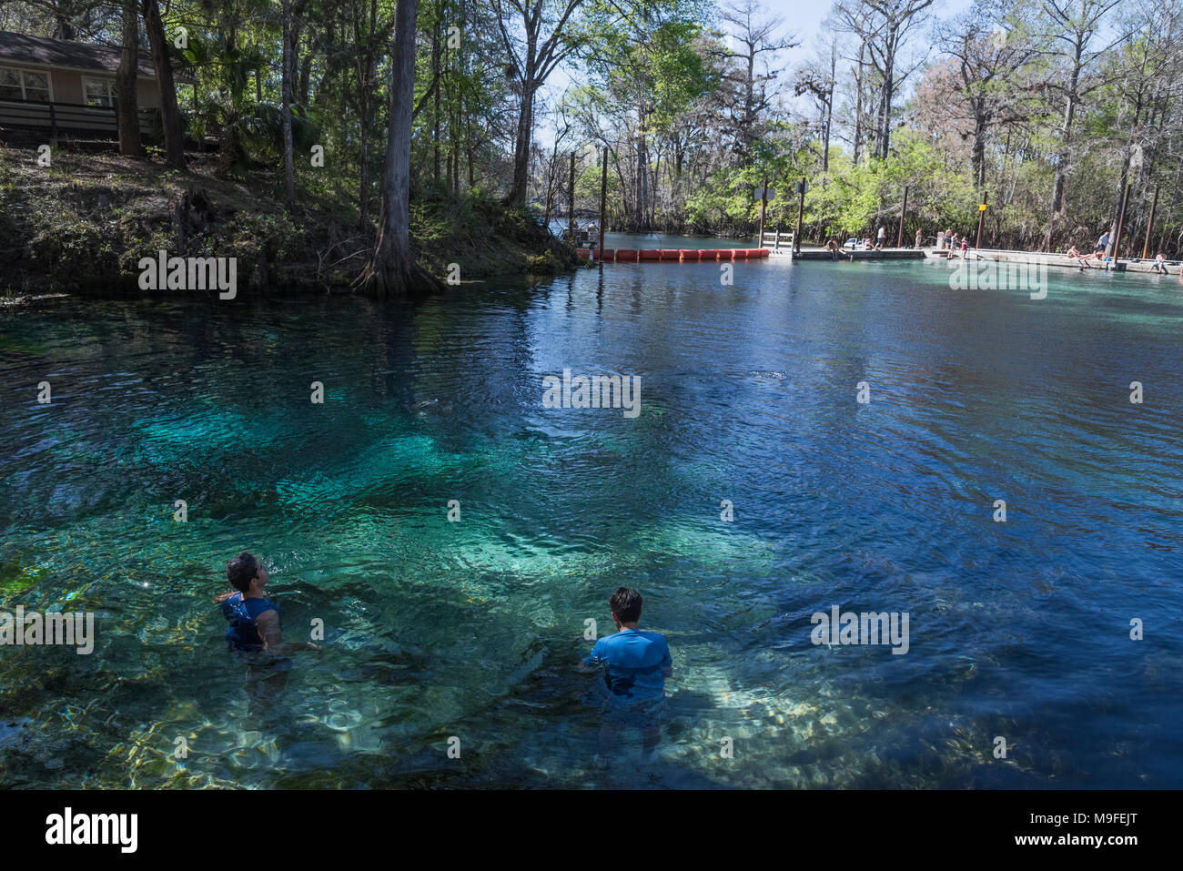 Fanning Springs State Park, Florida USA Stock Photo Alamy