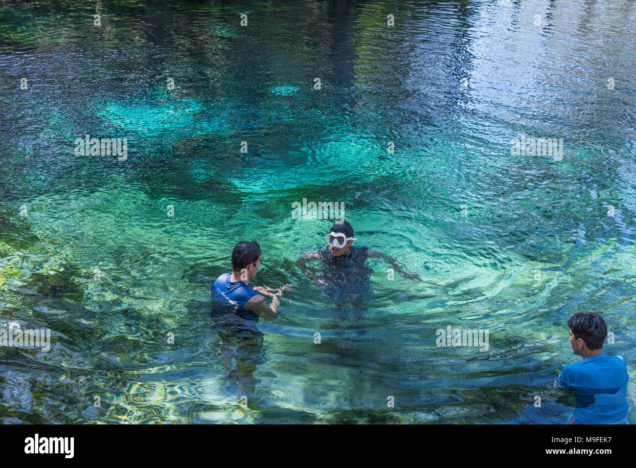 Fanning Springs State Park, Florida USA Stock Photo Alamy
