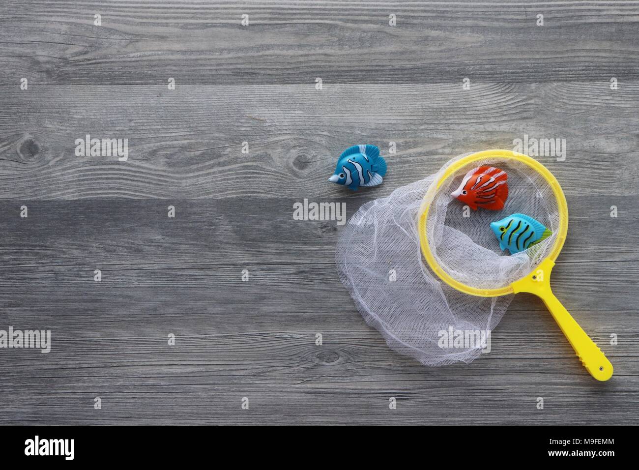 Gone fishing, 3 plastic fish and net Stock Photo Alamy