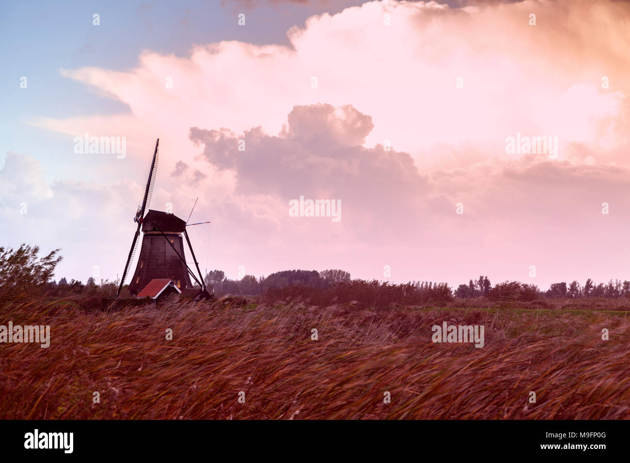 Windmills at Kinderdijk during sunset. Kinderdijk, South Holland, Netherlands Stock Photo