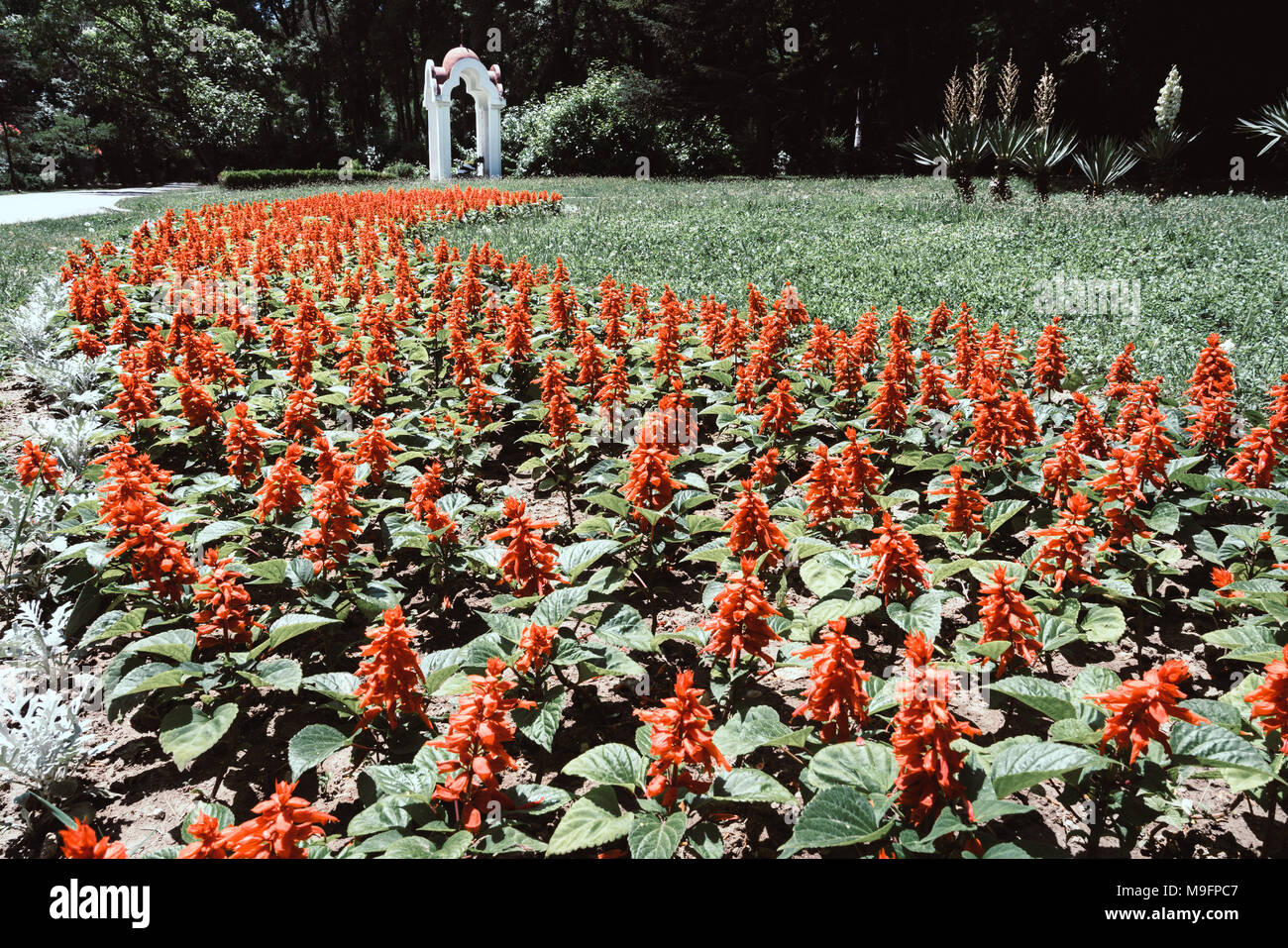 Landscaping in a public park in Varna, Bulgaria Stock Photo