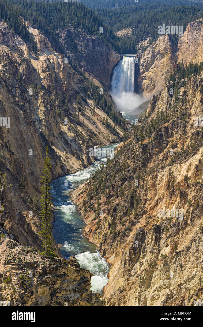 Lower Yellowstone Falls in the Grand Canyon of the Yellowstone from Artist Point Yellowstone National Park Wyoming USA Stock Photo