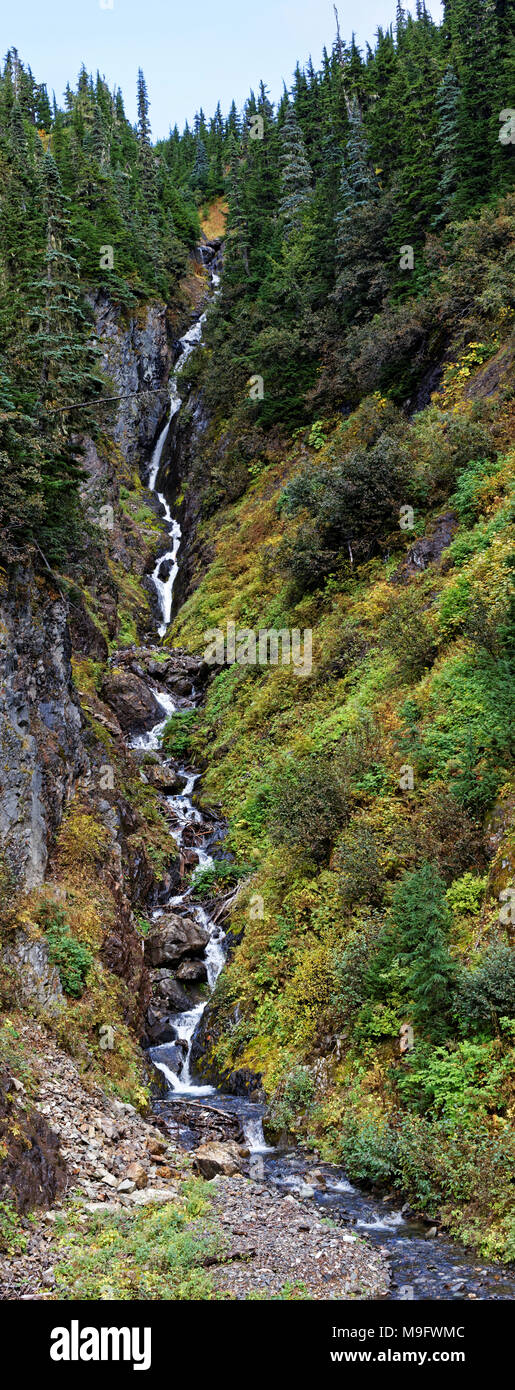 42,630.05544 vertical panorama steep mountain summer whitewater stream in deep gully gorge of mixed conifer & deciduous forest trees Stock Photo