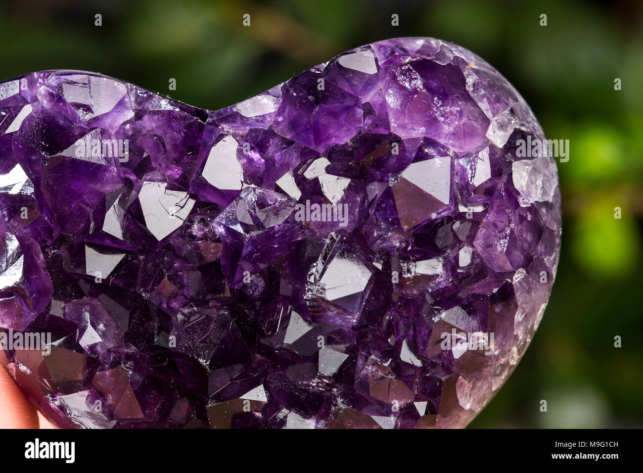 Amethyst geode on black background. Beautiful natural crystals gemstone