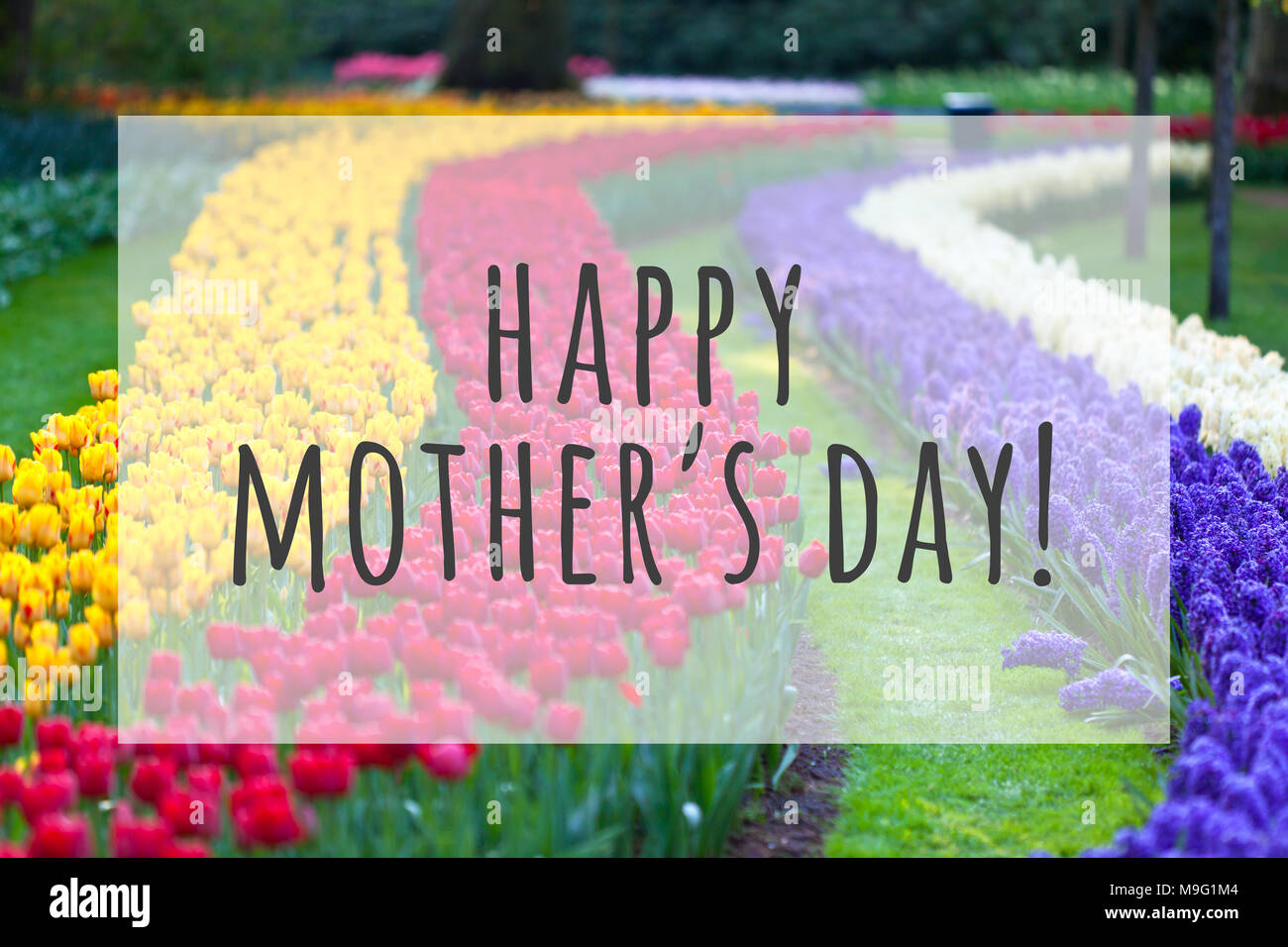 Happy mothers day text on blurred flowers background Stock Photo - Alamy