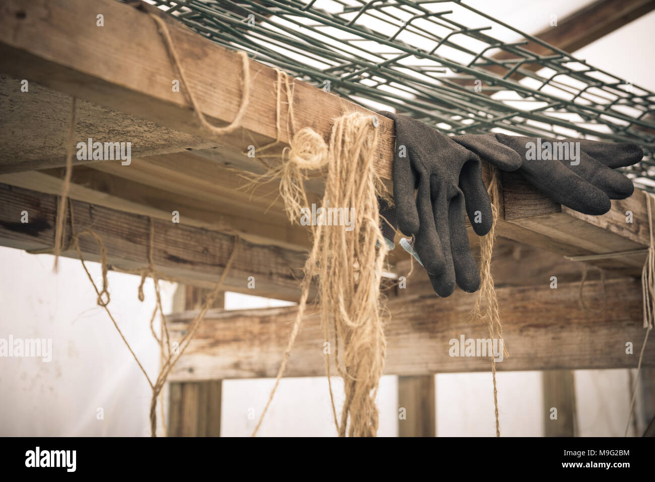 Close up of rubber gloves of a farmer lying in greenhouse. Hard work concept. Vintage style. Stock Photo