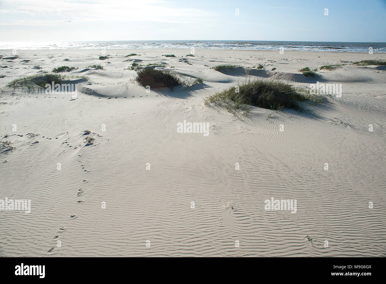 Matagorda bay beach hi-res stock photography and images - Alamy