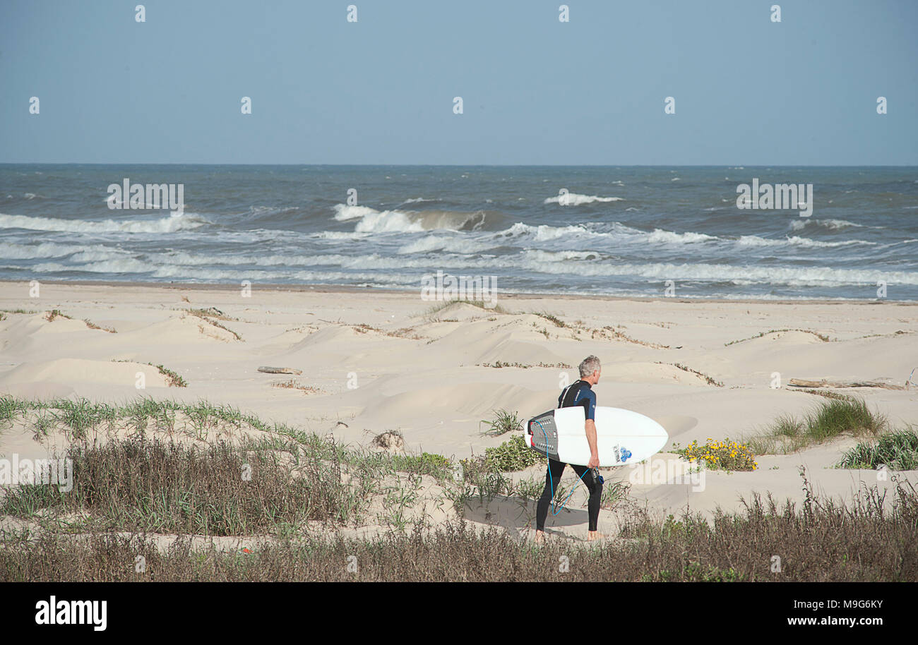 Matagorda, Texas, USA. 7th Mar, 2018. March 5, 2018. A surfer walks to the beach thru the dunes at the Matagorda Bay Nature Park include a 1,333 acre nature preserve which is a prime location for fishermen, bird watchers and beachcombers with its beautiful large beaches and dunes near the town of Matagorda, Tx. on the East end of Matagorda Bay where the Colorado River flows into the Gulf of Mexico. Credit: Ralph Lauer/ZUMA Wire/Alamy Live News Stock Photo