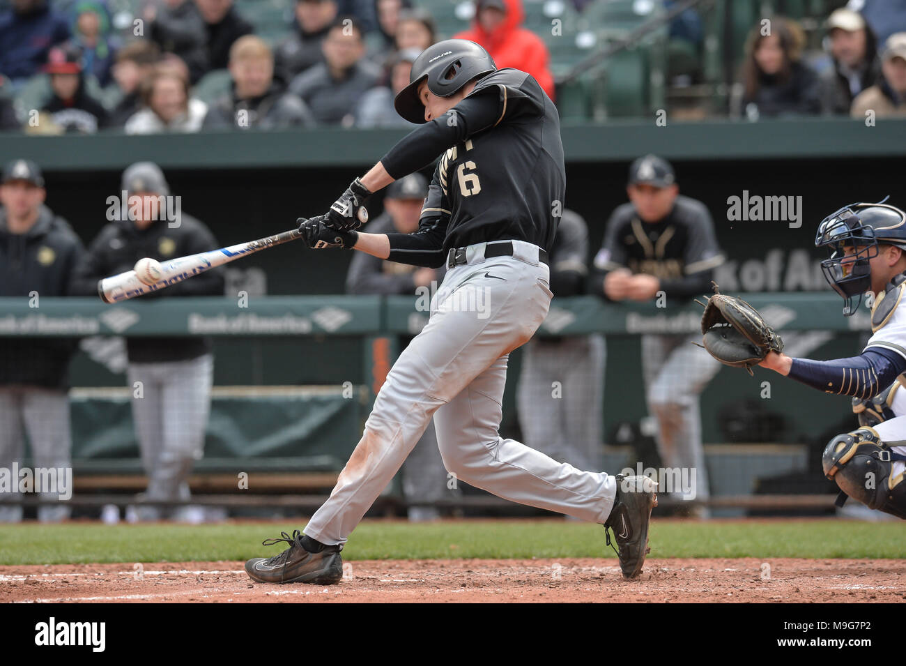 Trey Martin Hi Res Stock Photography And Images Alamy Baltimore Maryland Usa 25th Mar 2018 Trey Martin 5 Bats During The First Game Held Of The Held At Oriole Park At Camden Yards In Baltimore Maryland Credit Amy Wirealamy Live News M9G7P2 