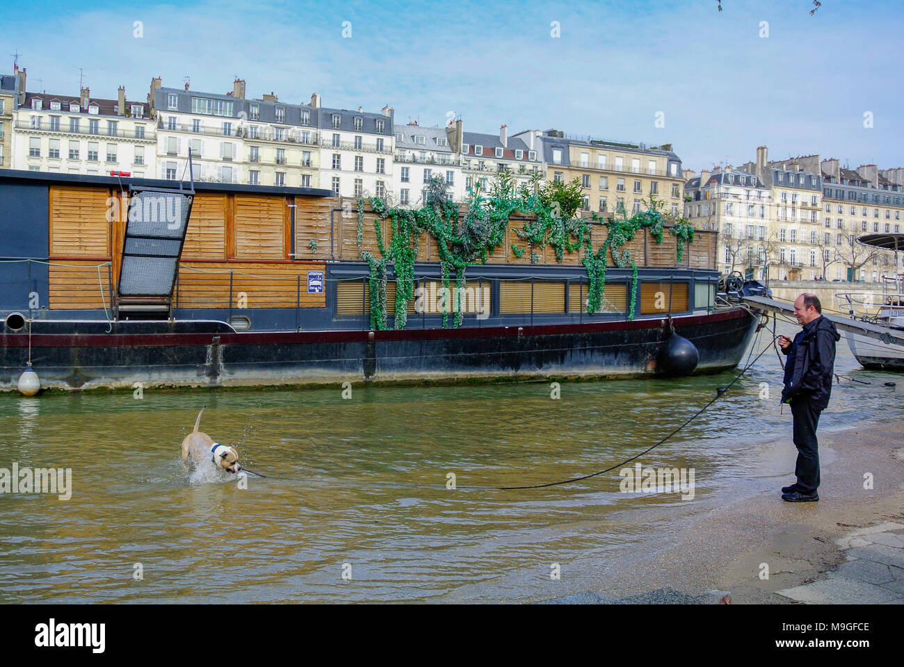 A senior man taking his dog on seine river with flood in 2018, paris, france Stock Photo