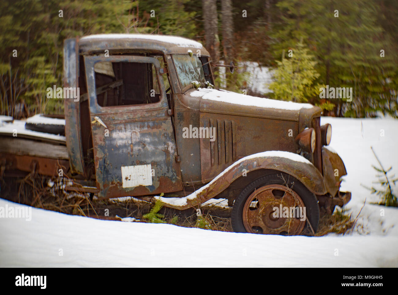 An old, rusty 1932 Chevy 1 1/2 ton truck, near Noxon, Montana. Stock Photo